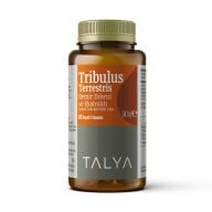 TRIBULUS (DEMIR DIKENI) 60 TALYA