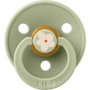 Bibs Studio Colour Jasmine Kauçuk Emzik - Sage 6-18 Ay