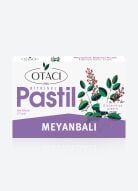 OTACI PASTIL MEYANLI 8 PASTIL