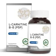 ANTI L-CARNITINE 100 KAPSUL