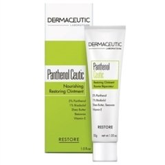 Dermaceutic Panthenol Ceutic Nourishing Restoring Ointment 30gr