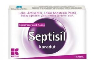 Septisil Karadut Pastil 16 Adet