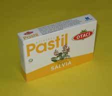 OTACI ADACAYI PASTIL