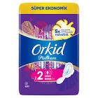 Orkid Platinum Uzun 20'li