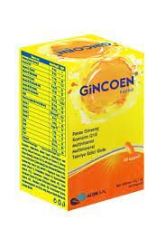 Gincoen 30 Kapsül