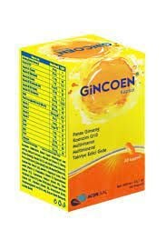 Gincoen 30 Kapsül