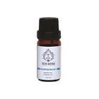 Art De Huile Peppermint Tıbbi Nane 10 ml