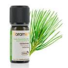 Florame Terebentin Yağı 10 ml