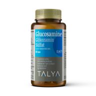GLUKOZAMIN SULFAT MSM COL TYPE 60TB TALYA