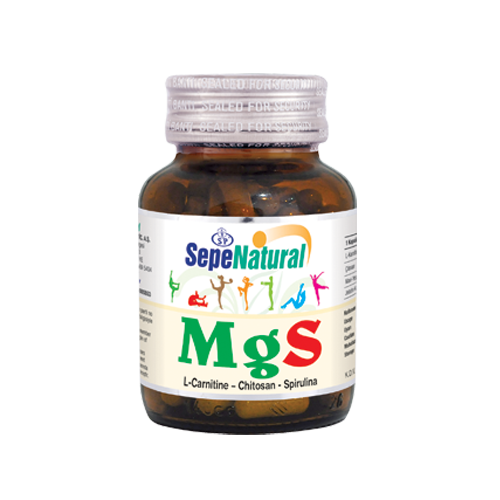 Mgs L-Karnitin Çitosan Spirulina Kapsül 90 X 410 Mg