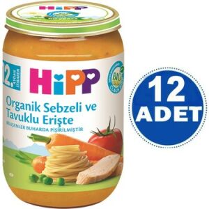 Hipp Kavanoz Maması Organik Sebzeli Tavuklu Erişte 220 gr - 12 Adet
