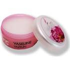 Dr. Prüfer Gül Esanslı Renkli Vazelin 100 ml