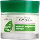 LR Aloe Vera Gece Kremi 50 ml