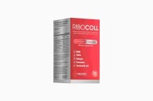 RIBOCOLL MSM 60 KAPSUL