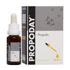Propoday Propolis Takviye Edici Gıda 20 ml