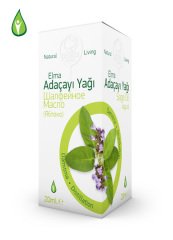 ADACAY (ELM) YAGI 20 CC GEBECE