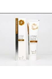 Lysine Plus Cream Doğal Uçuk Kremi 10 gr